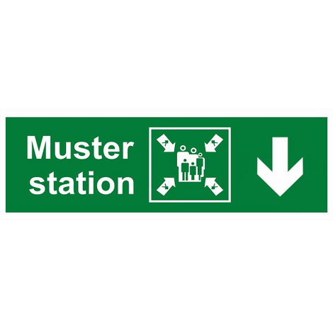 IMO Sing Muster Station Down Right IMPA 334339 100x300mm